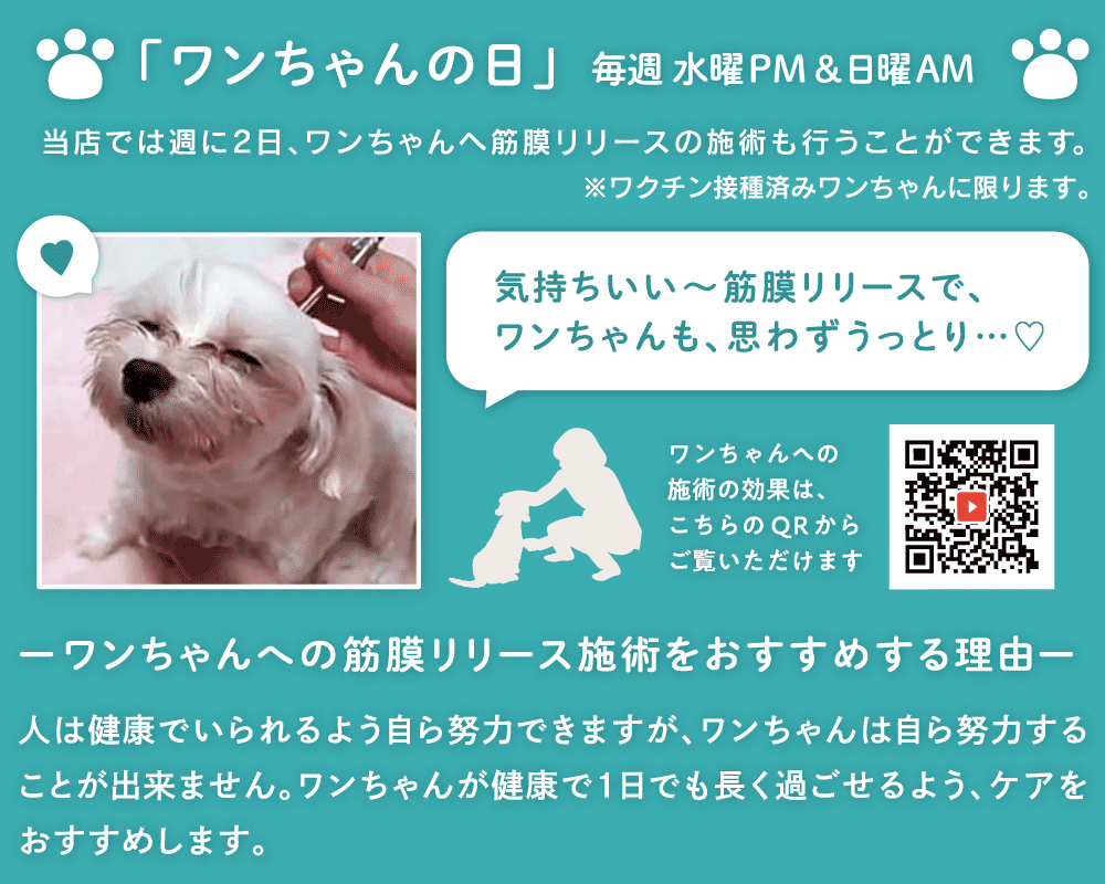 犬の日